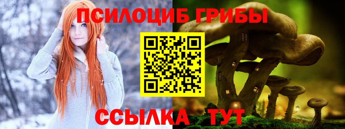 Псилоцибиновые грибы MAGIC MUSHROOMS  Вход с VPN  Южноуральск 